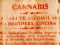 Close up detail of Lloyd Brothers Specific medicines Cannabis Extract Bottle Label