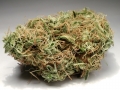 A-B(Afganhi Blueberry)