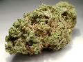 Amnesia