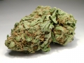 Blueberry Hashplant