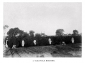 Cannabis Field